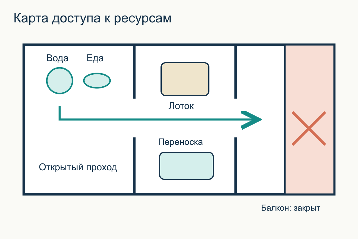 План квартиры с мисками, лотком и переноской: пути к ресурсам открыты, балкон закрыт