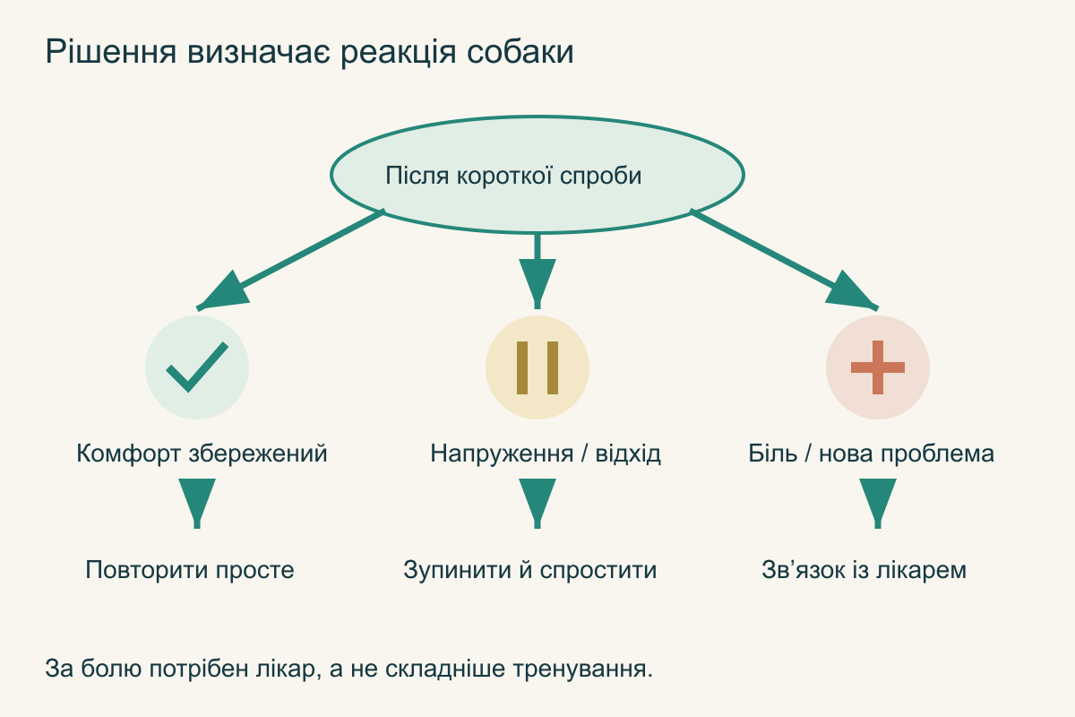 Після кожної спроби є вибір: повторити комфортний крок, спростити після напруження або звернутися до ветеринара за ознак болю