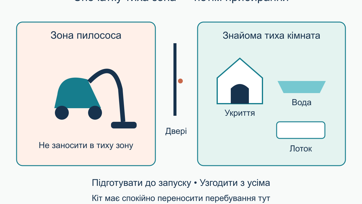 Кіт боїться пилососа: як поступово привчати до побутових звуків