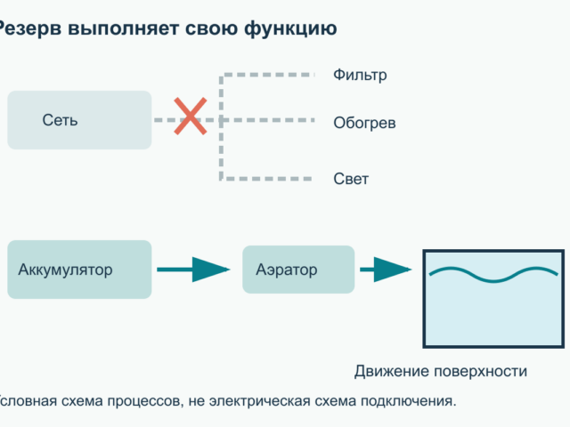 Аквариум при отключении света: подготовка и порядок действий