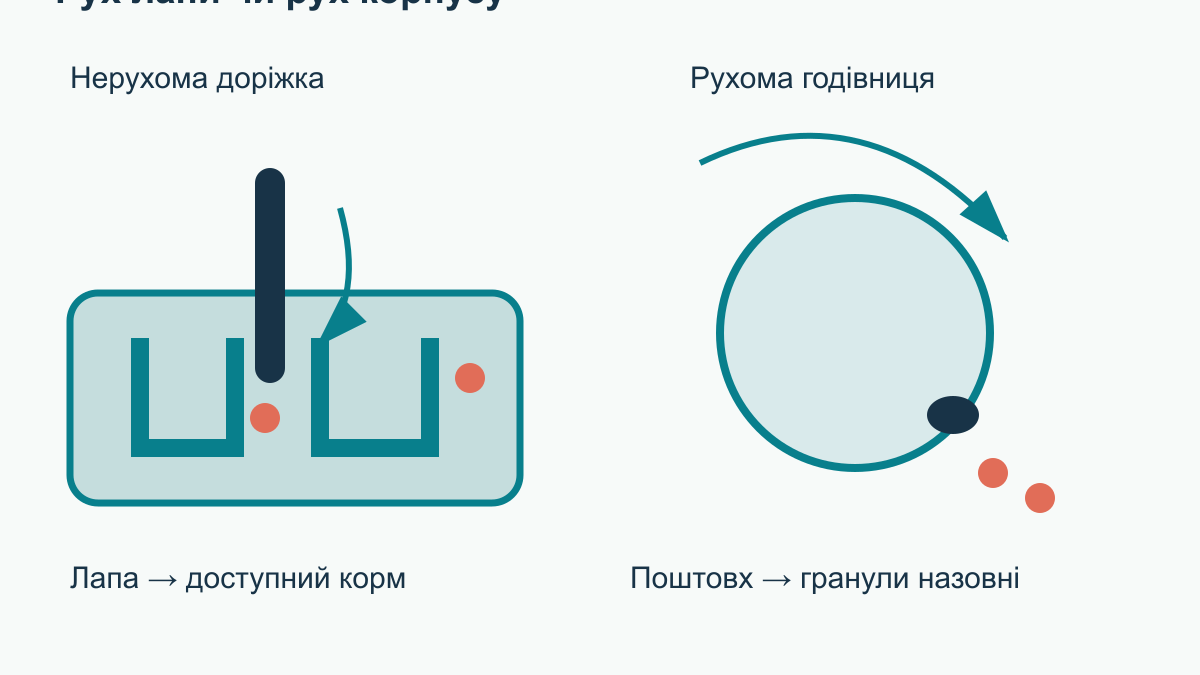 Годівниця-головоломка для кота: як обрати й навчити користуватися