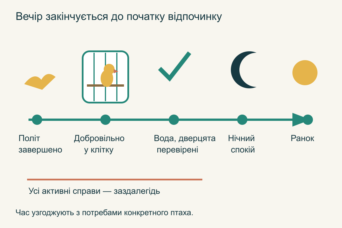 Вечірня послідовність: завершення польоту, добровільне повернення, перевірка клітки, спокійна ніч і передбачуваний ранок