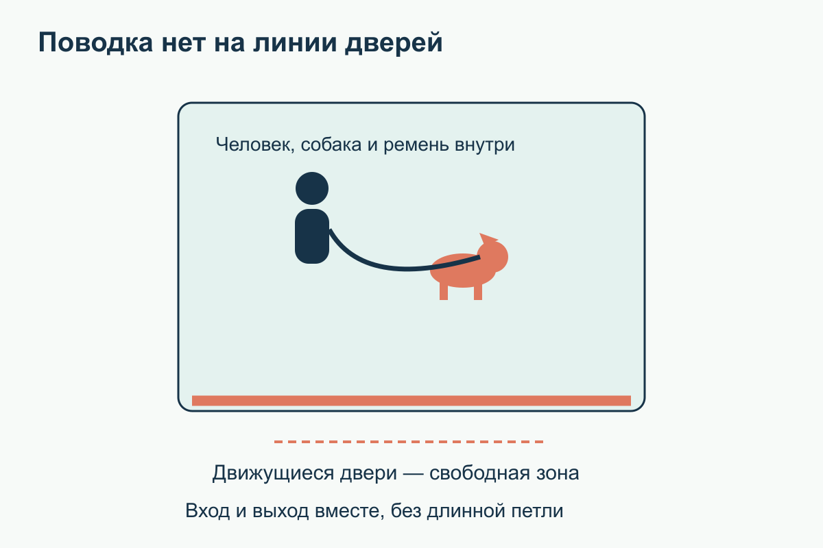 Человек, собака и весь поводок находятся вместе внутри кабины, вне линии движущихся дверей