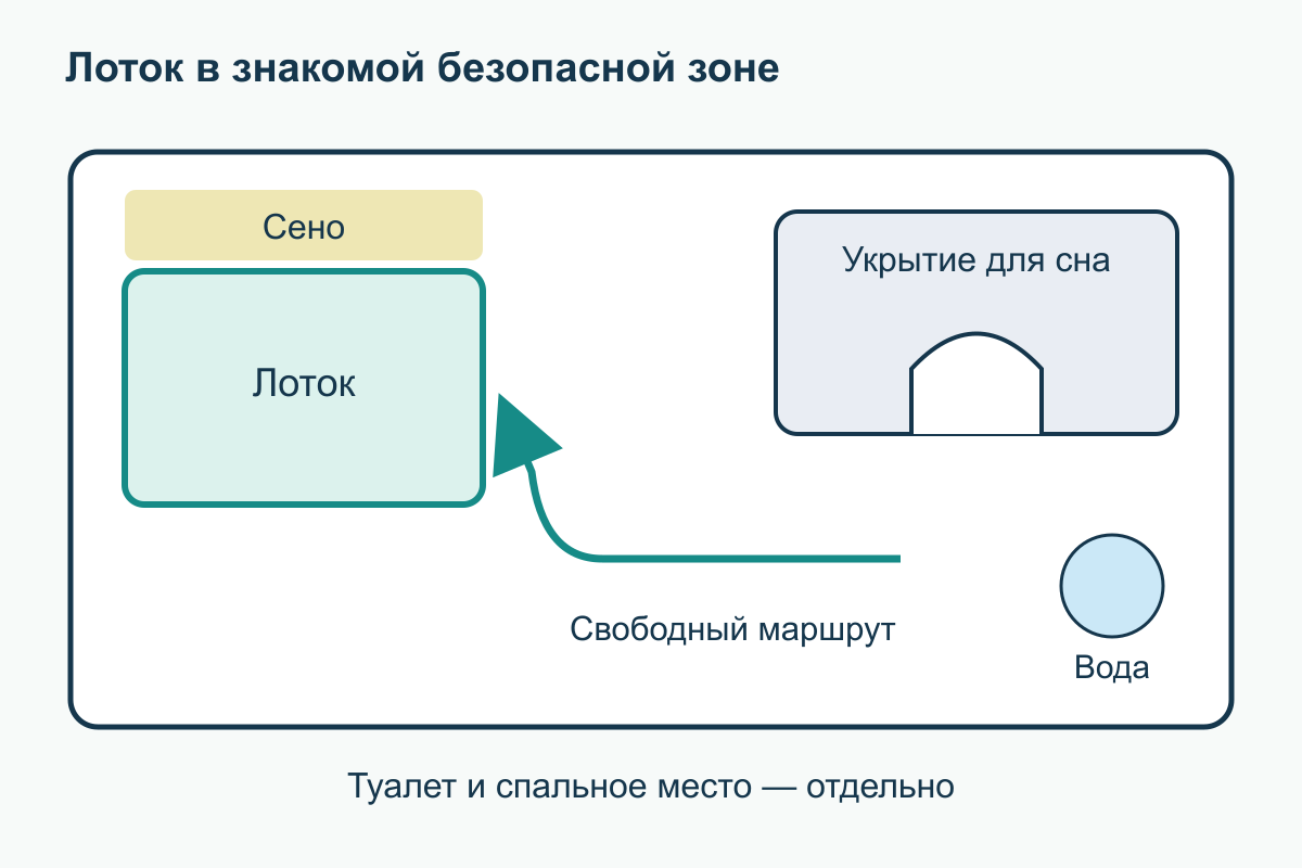 Туалетный угол и свободный подход План зоны кролика: туалет в выбранном углу, сено рядом, отдельное укрытие и открытый маршрут