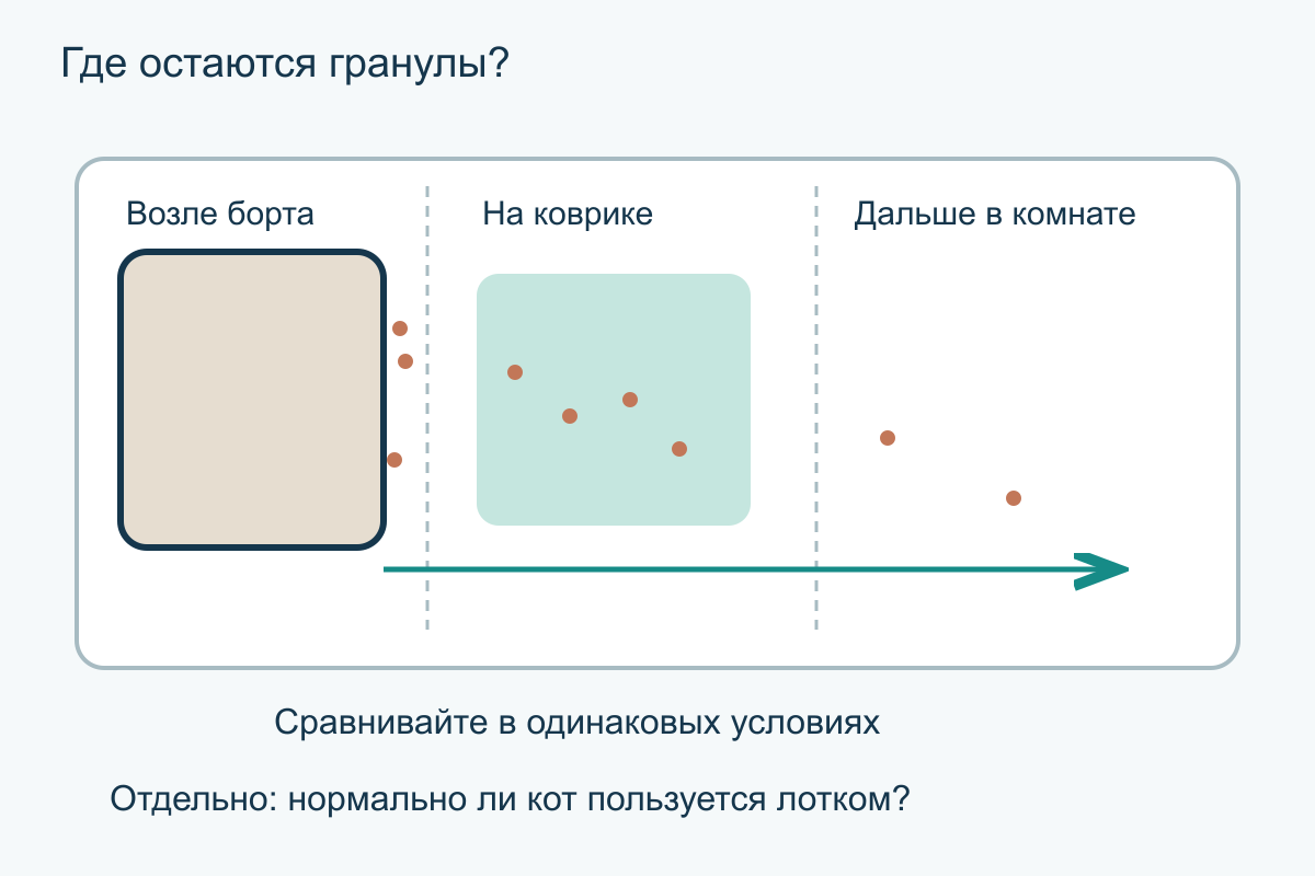 План наблюдения с тремя зонами: возле лотка, на коврике и дальше в комнате; отдельно проверяют пользование туалетом