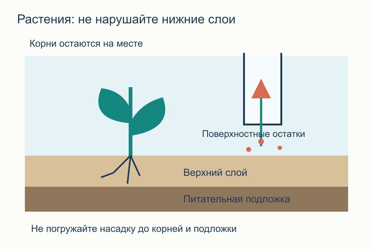 Разрез дна с растением: насадка собирает поверхностные остатки, корни и нижняя подложка не затрагиваются