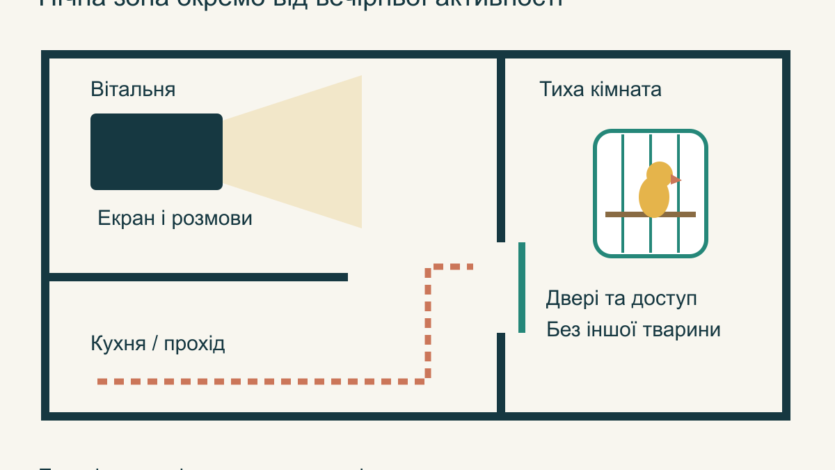 Сон папуги: як організувати вечірній режим у квартирі