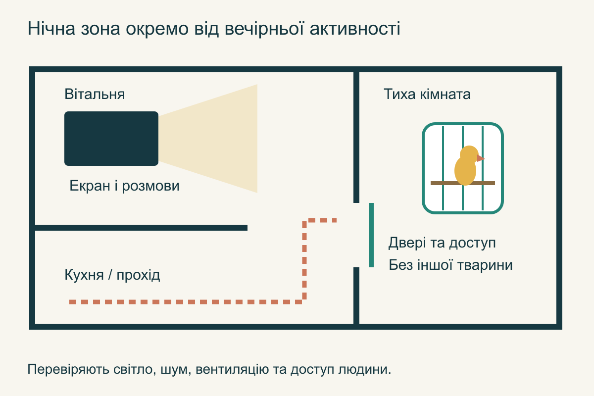 План кімнат: клітка в тихій зоні, окремо від телевізора, кухні й наскрізного проходу