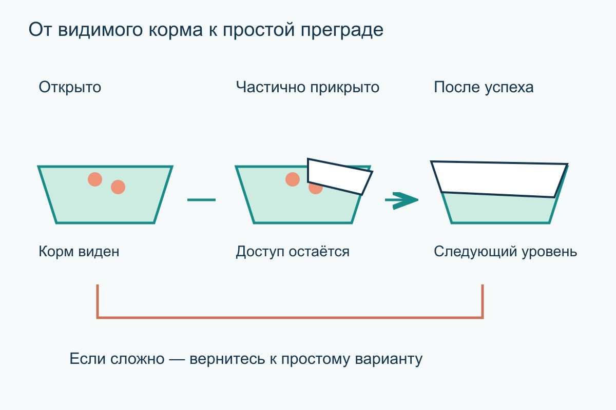 Меняйте одно условие за раз Три уровня одного задания: видимый корм, частично прикрытый бумагой и закрытый после успешных простых попыток