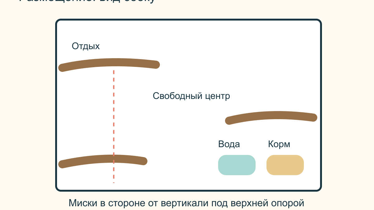 Жердочки для попугая: материалы, размещение и уход