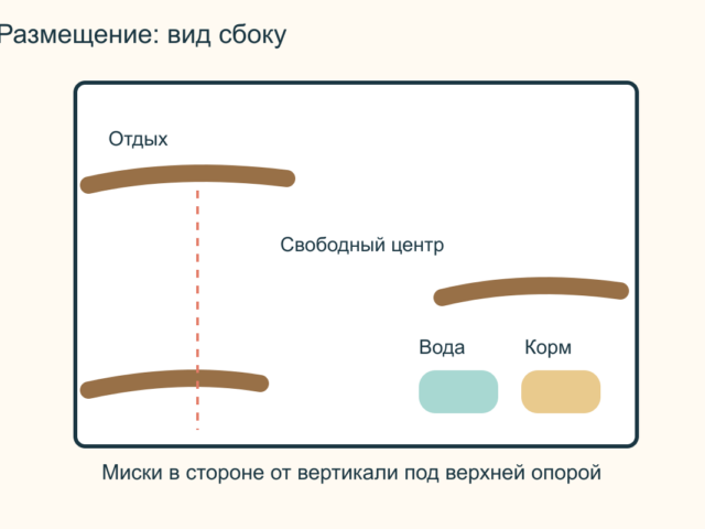 Жердочки для попугая: материалы, размещение и уход