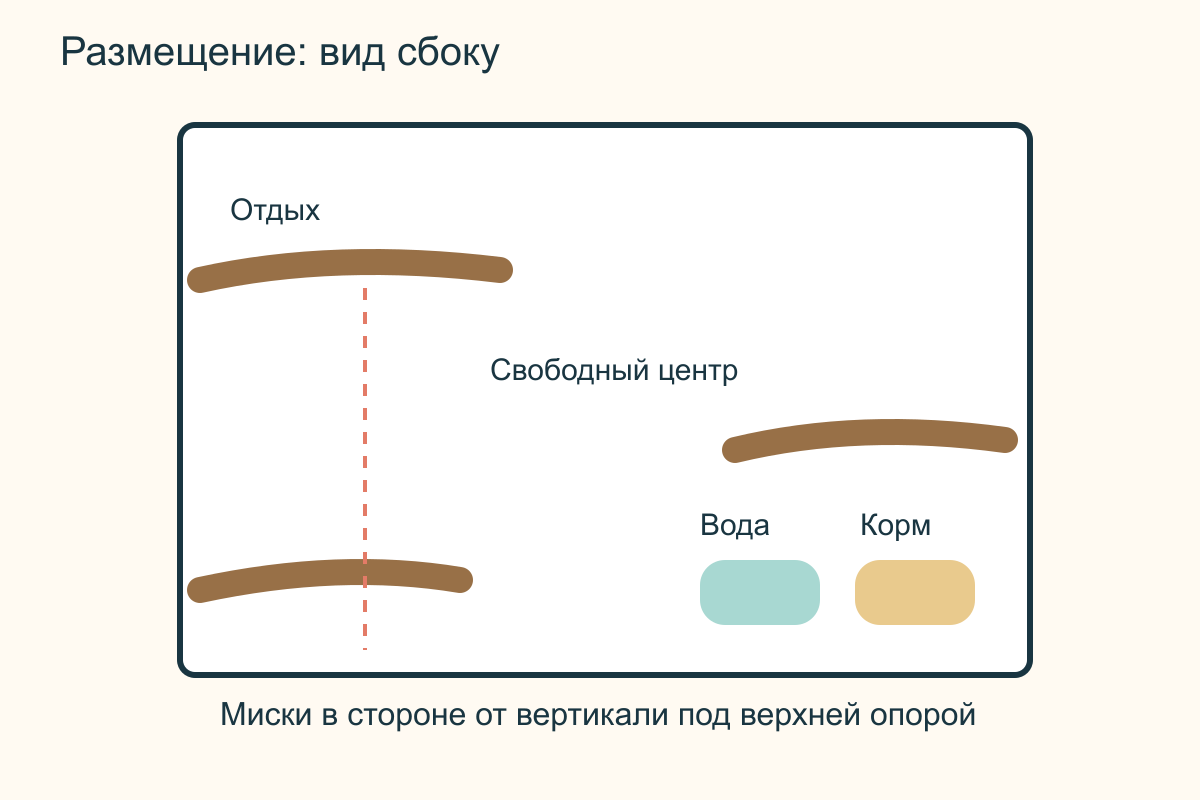Опоры и свободные маршруты Вид клетки сбоку: разные деревянные опоры, свободный центр и миски в стороне от вертикали под верхней жердочкой