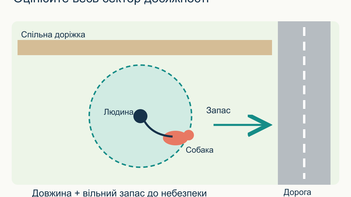 Довгий повідець для собаки: як користуватися на прогулянці