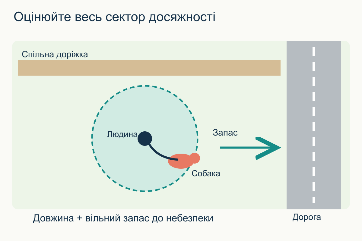 Простір для довгого повідця Вид зверху: коло досяжності довгого повідця не перетинає дорогу й пішохідну доріжку