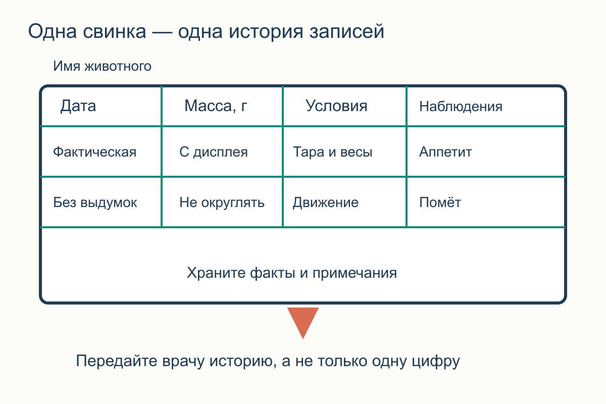 Схема записи: индивидуальная история объединяет дату, массу, условия, наблюдения и последующее действие