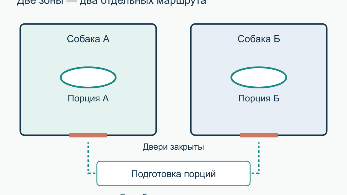 Как организовать кормление двух собак без конкуренции за миски
