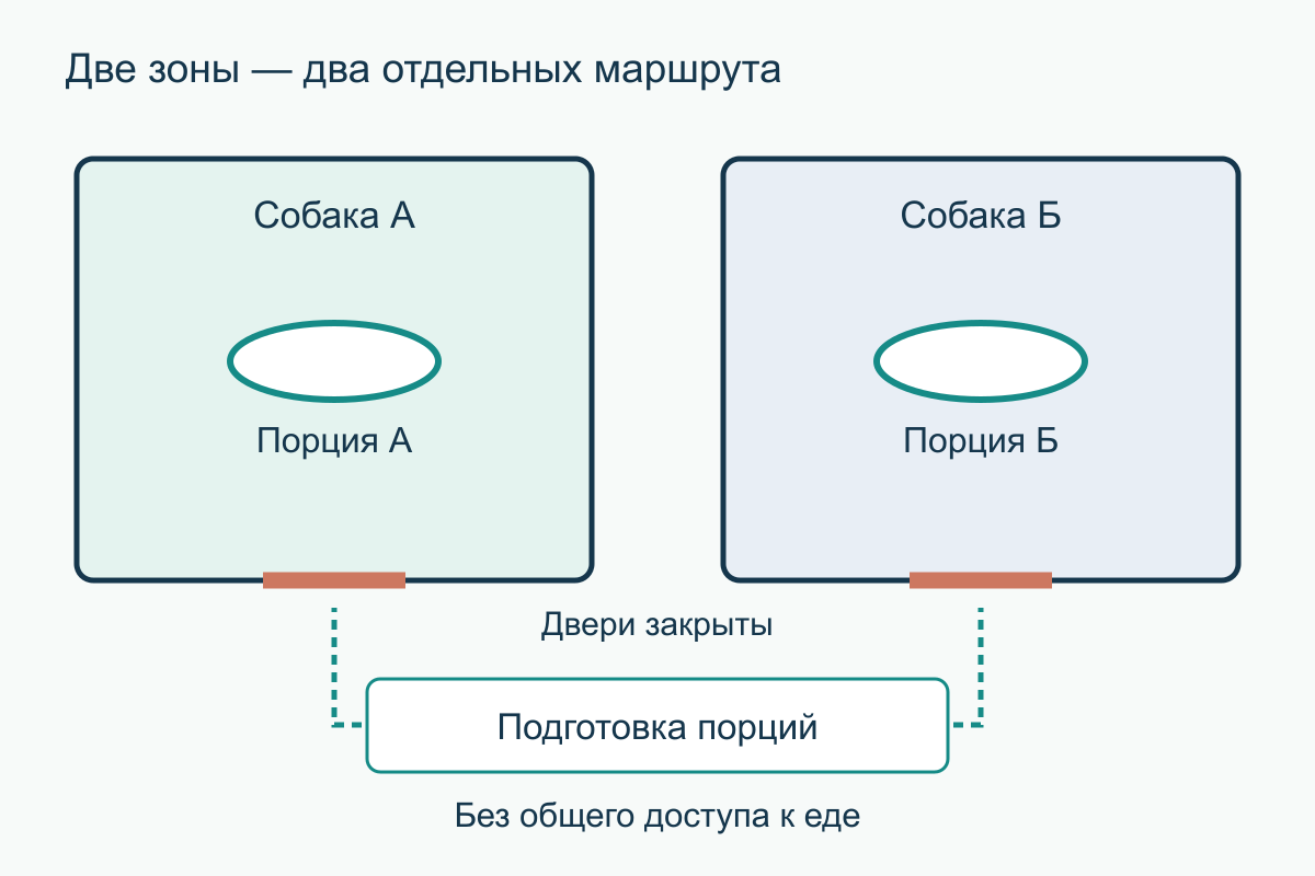 План двух комнат с отдельными мисками и закрытыми дверями; человек готовит порции вне зон кормления