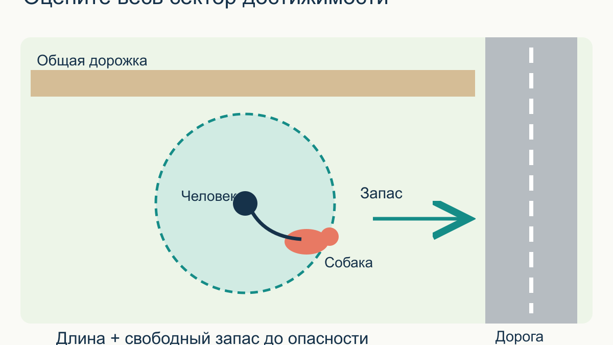 Длинный поводок для собаки: как пользоваться на прогулке