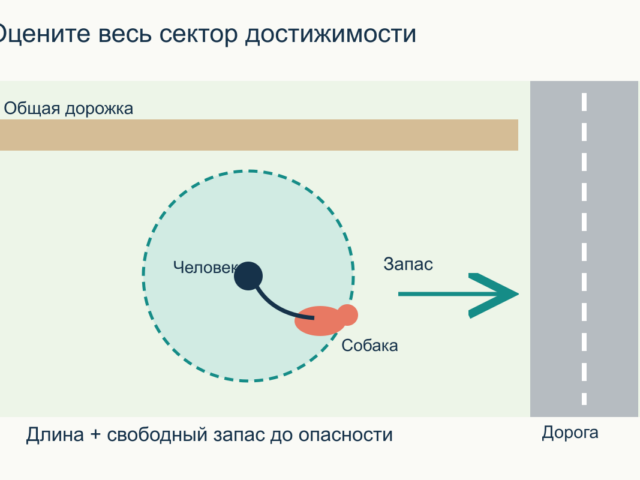 Длинный поводок для собаки: как пользоваться на прогулке