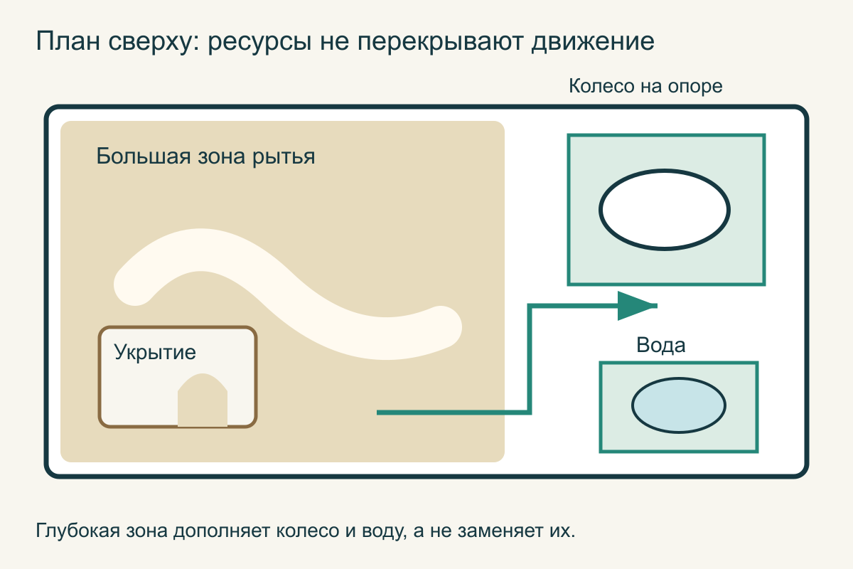 План жилища сверху: большая зона рытья с укрытием, колесо на опоре и отдельная доступная вода, между зонами свободные проходы