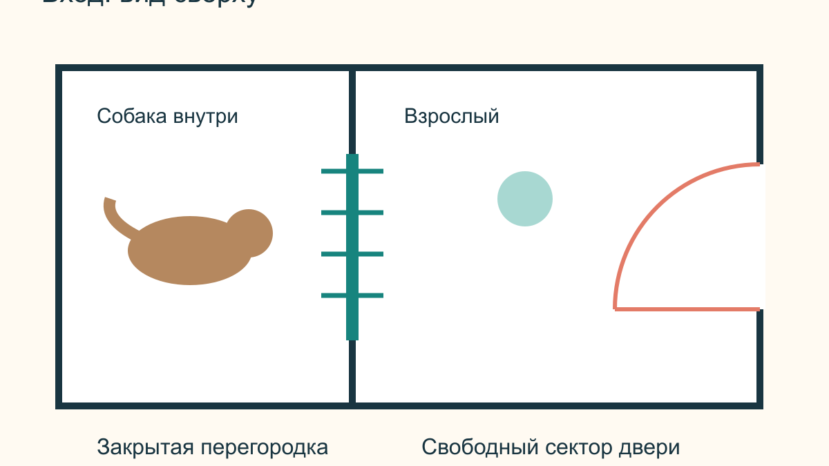 Собака выбегает в открытую дверь: как научить ждать