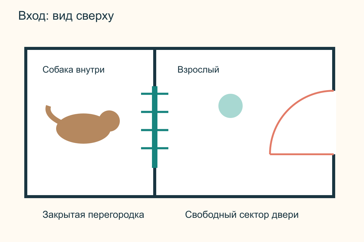 План прихожей сверху: собака за закрытой внутренней перегородкой, взрослый у внешней двери и свободная зона ее открывания