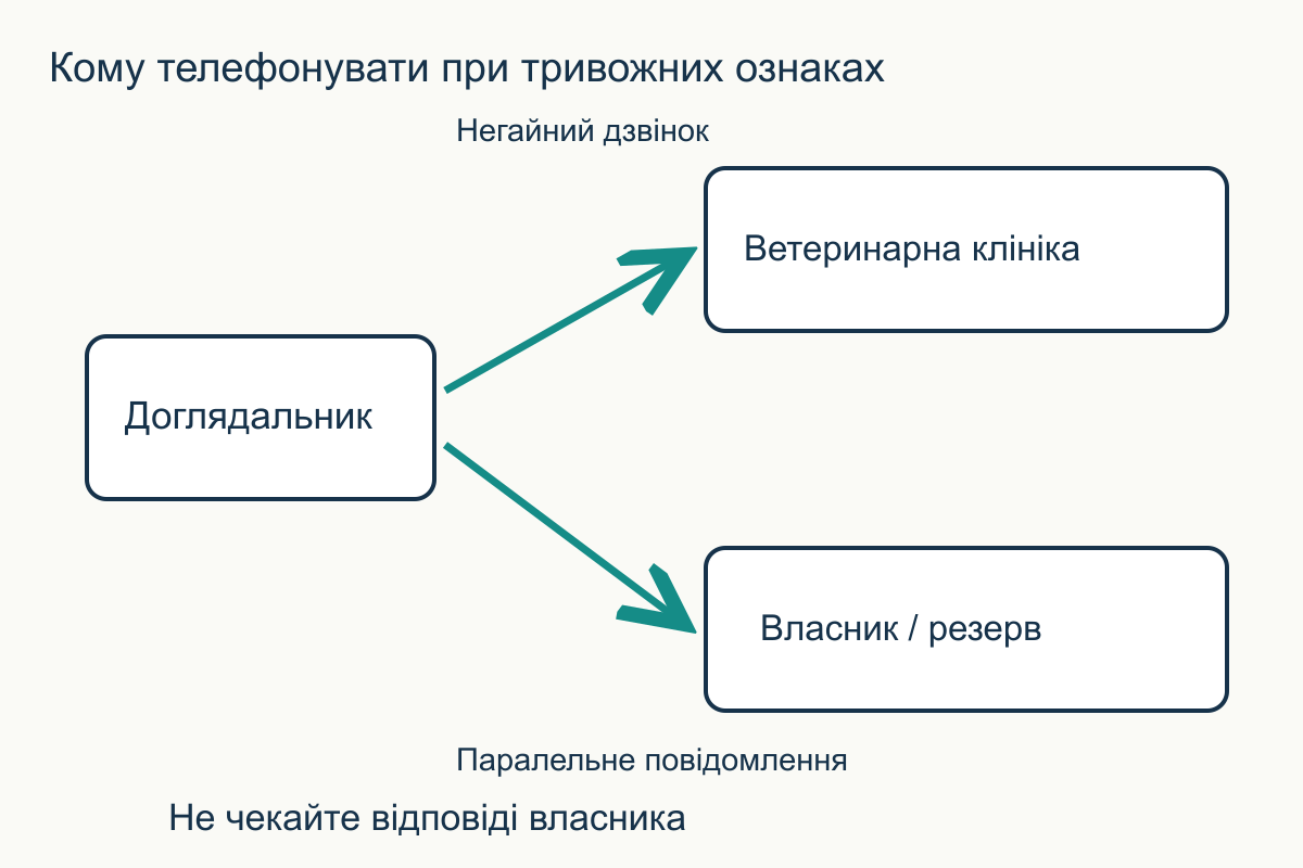 При тривожних ознаках доглядальник безпосередньо телефонує ветеринару, а власника й резервний контакт повідомляє паралельно