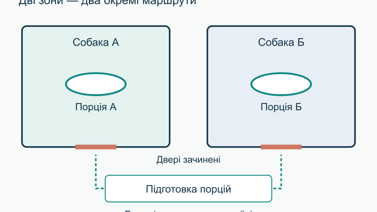 Як організувати годування двох собак без конкуренції за миски
