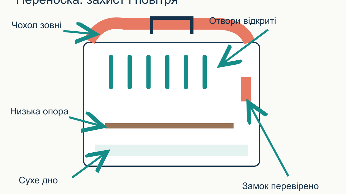 Як перевезти папугу до ветеринара в прохолодну погоду