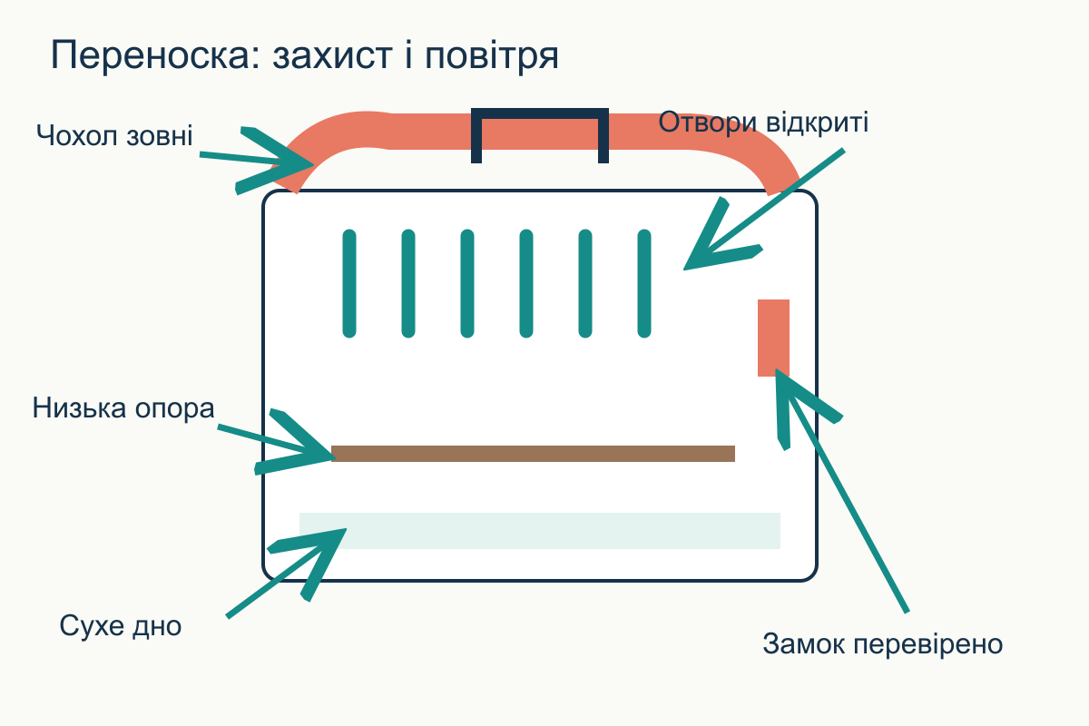 Переноска в розрізі: низька опора, сухе дно, замок і відкритий вентиляційний бік