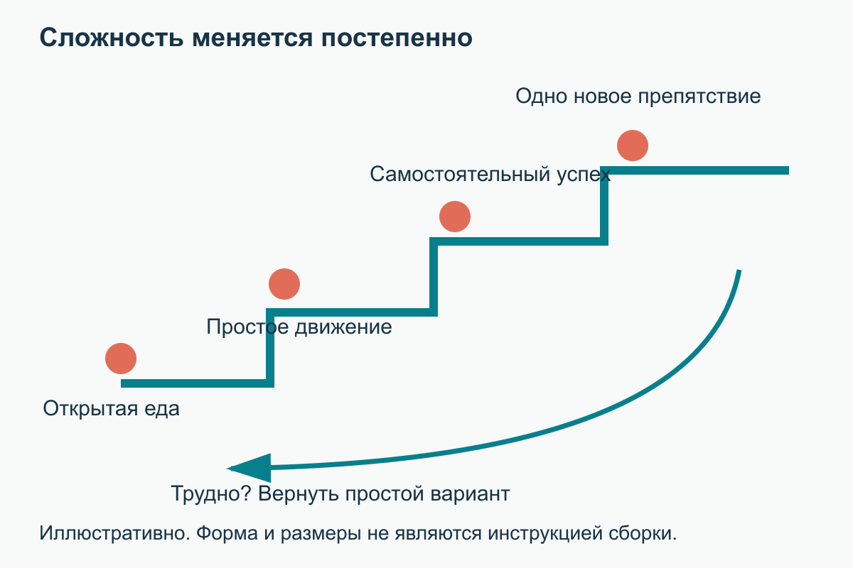 От открытого корма к простому движению и самостоятельному повторению; при затруднении стрелка возвращает к лёгкому варианту