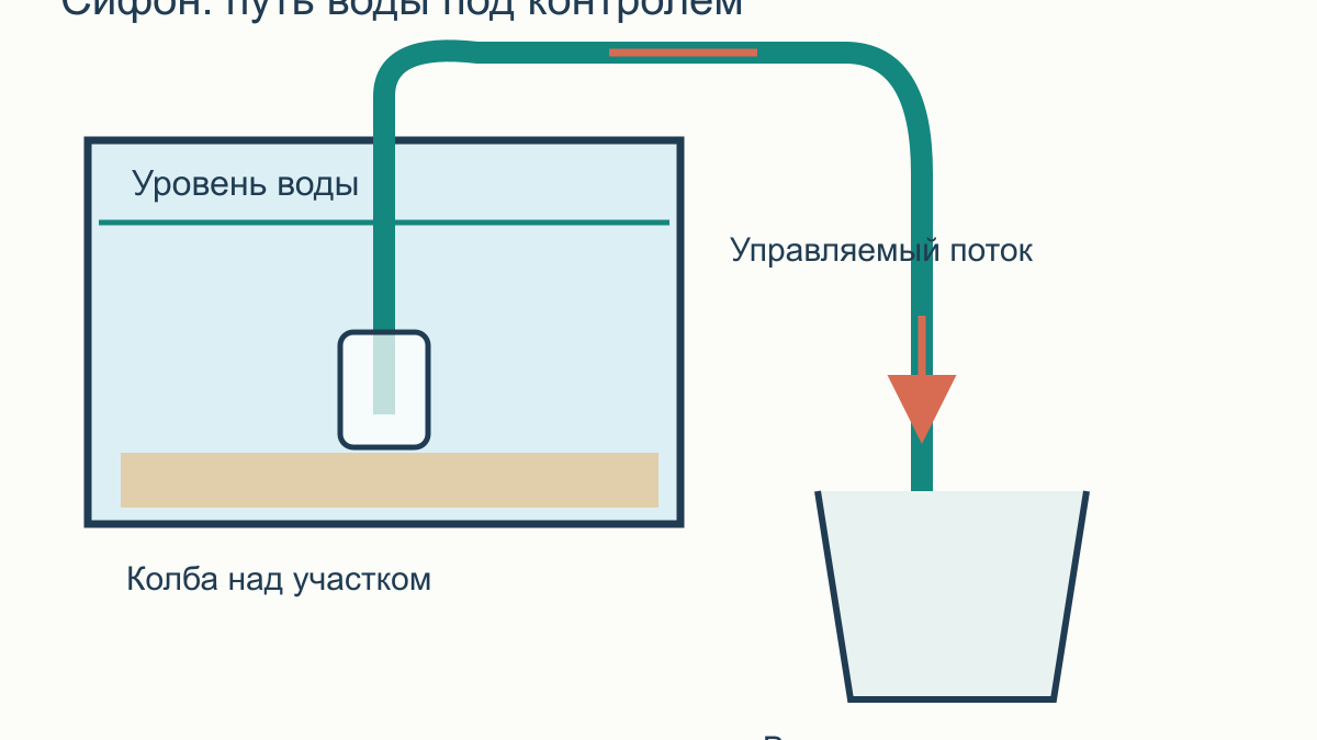 Как сифонить грунт в аквариуме: песок, гравий и живые растения