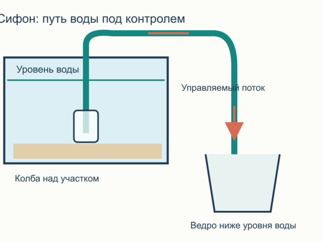 Как сифонить грунт в аквариуме: песок, гравий и живые растения