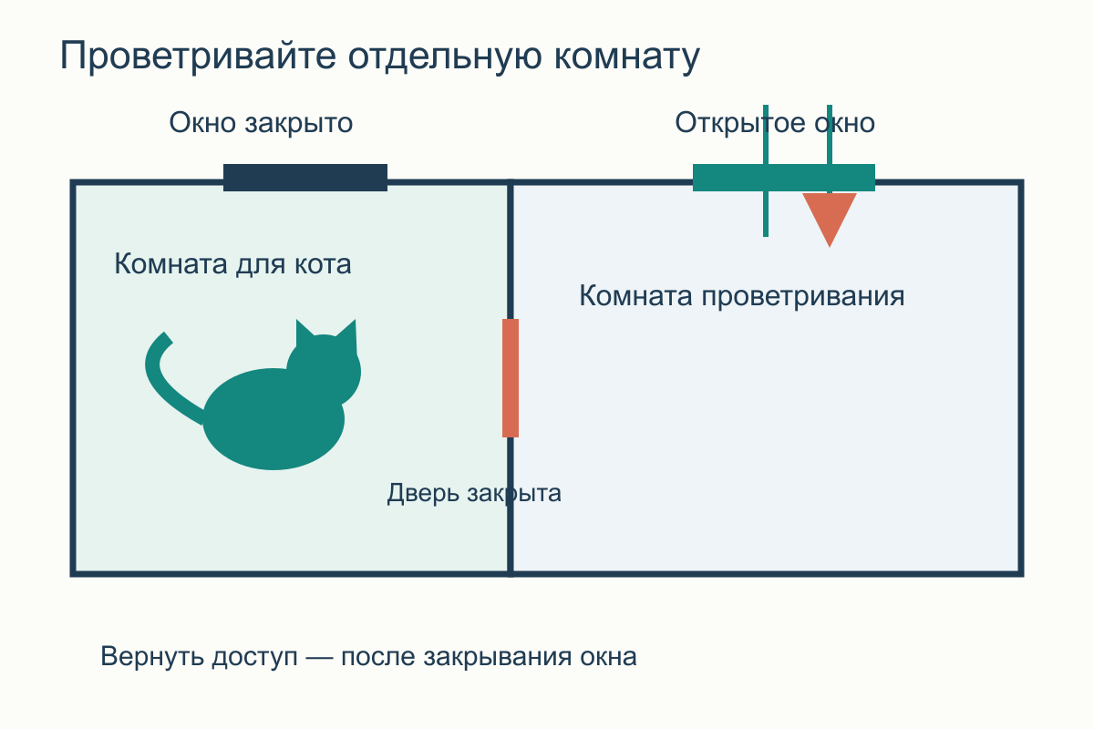 План квартиры: кот остаётся в безопасной комнате за закрытой дверью, окно открыто в соседней комнате