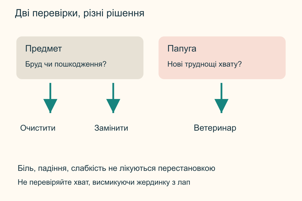 Огляд жердинки розділено на стан предмета і стан папуги: забруднення веде до очищення, дефект до заміни, нові труднощі хвату до ветеринара