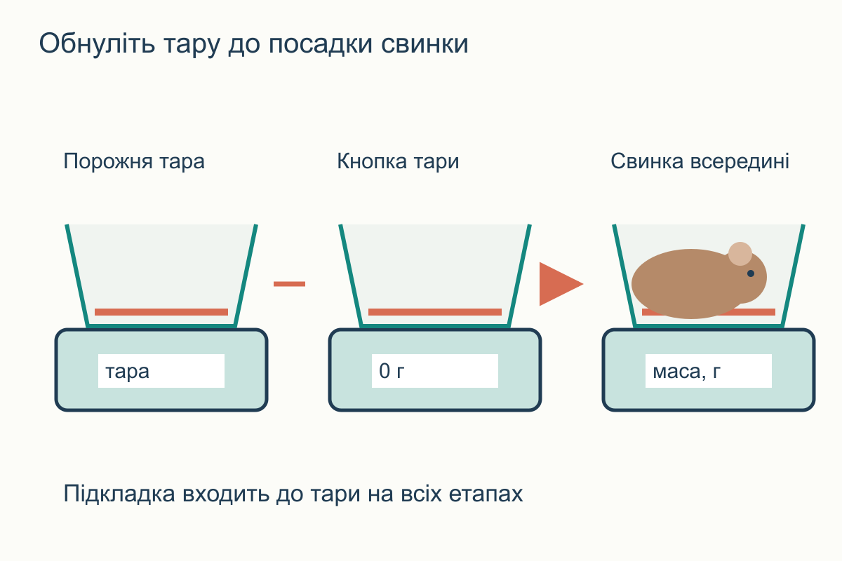 Послідовність вимірювання: ємність із підкладкою, обнулення, додавання свинки та запис маси в грамах