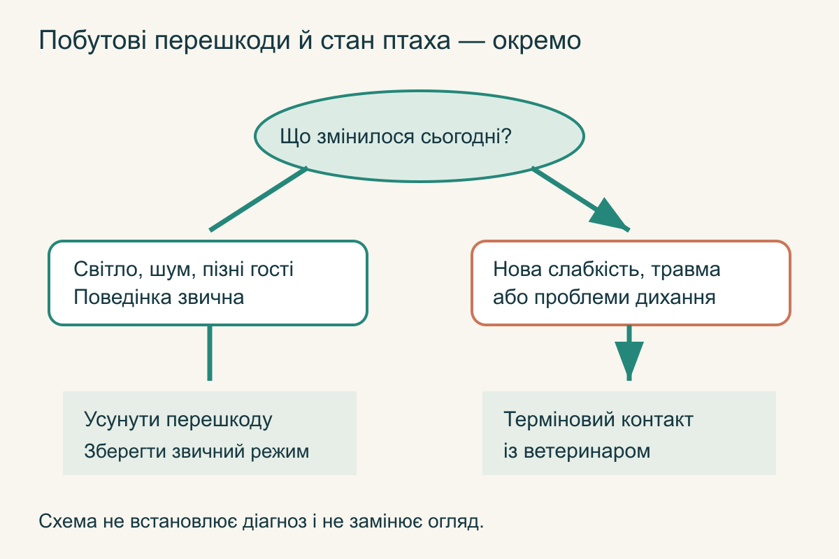 Дві гілки вечірнього спостереження: звичайний спокій веде до збереження режиму, нові ознаки неблагополуччя — до ветеринарного контакту