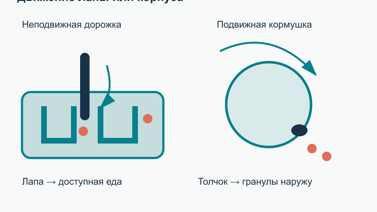 Кормушка-головоломка для кошки: как выбрать и научить пользоваться