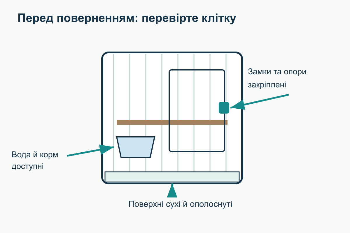 Три перевірки перед поверненням Клітка готова після трьох перевірок: сухі поверхні, надійні кріплення, доступні вода й корм