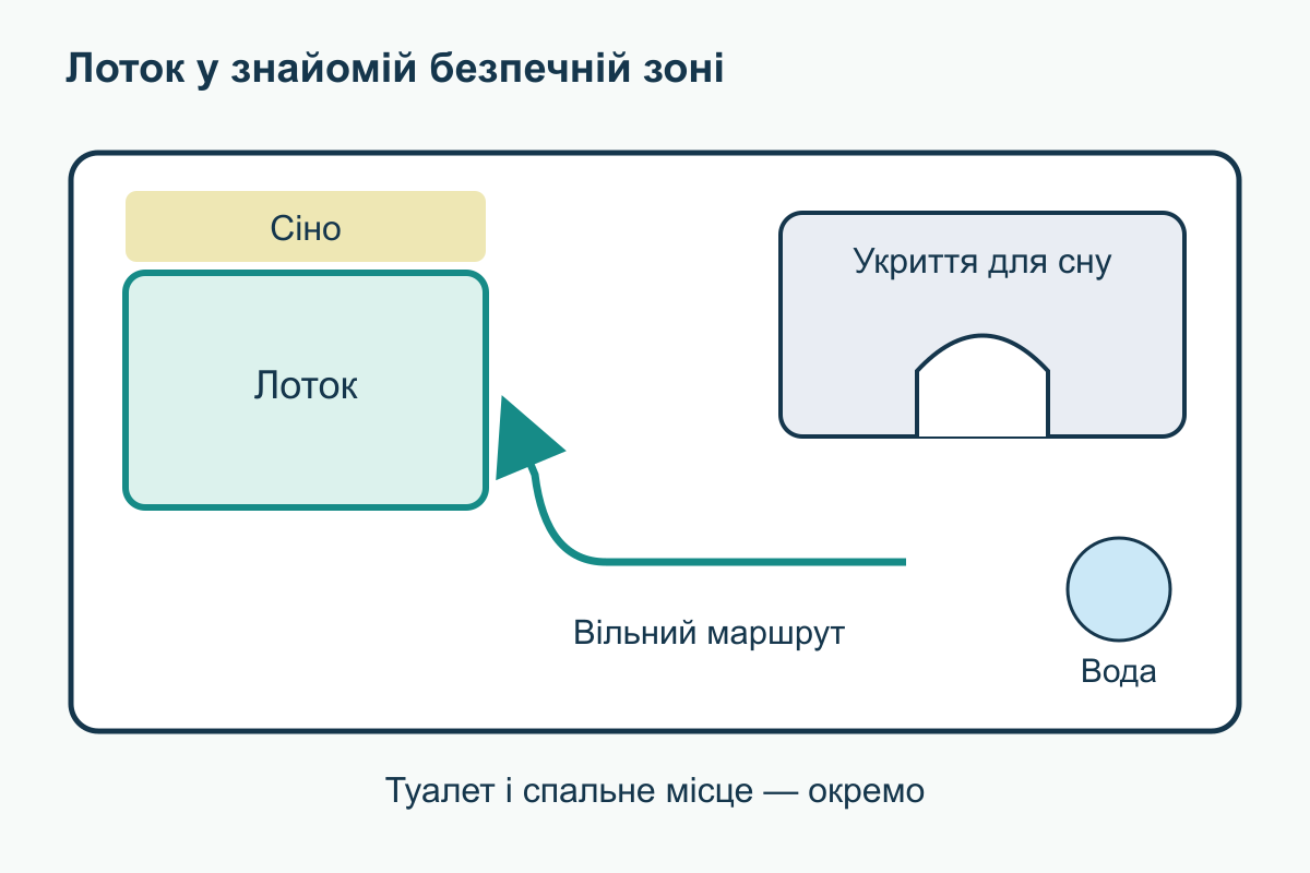 План кролячої зони: туалет у вибраному кутку, сіно біля нього, окреме укриття та відкритий маршрут