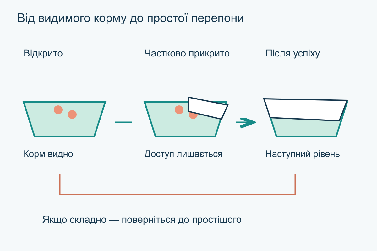 Три рівні одного завдання: видимий корм, частково прикритий папером і закритий після успішних простіших спроб