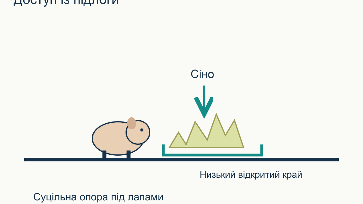 Сінник для морської свинки: як обрати й розмістити