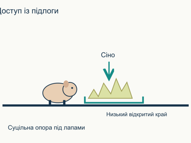 Сінник для морської свинки: як обрати й розмістити