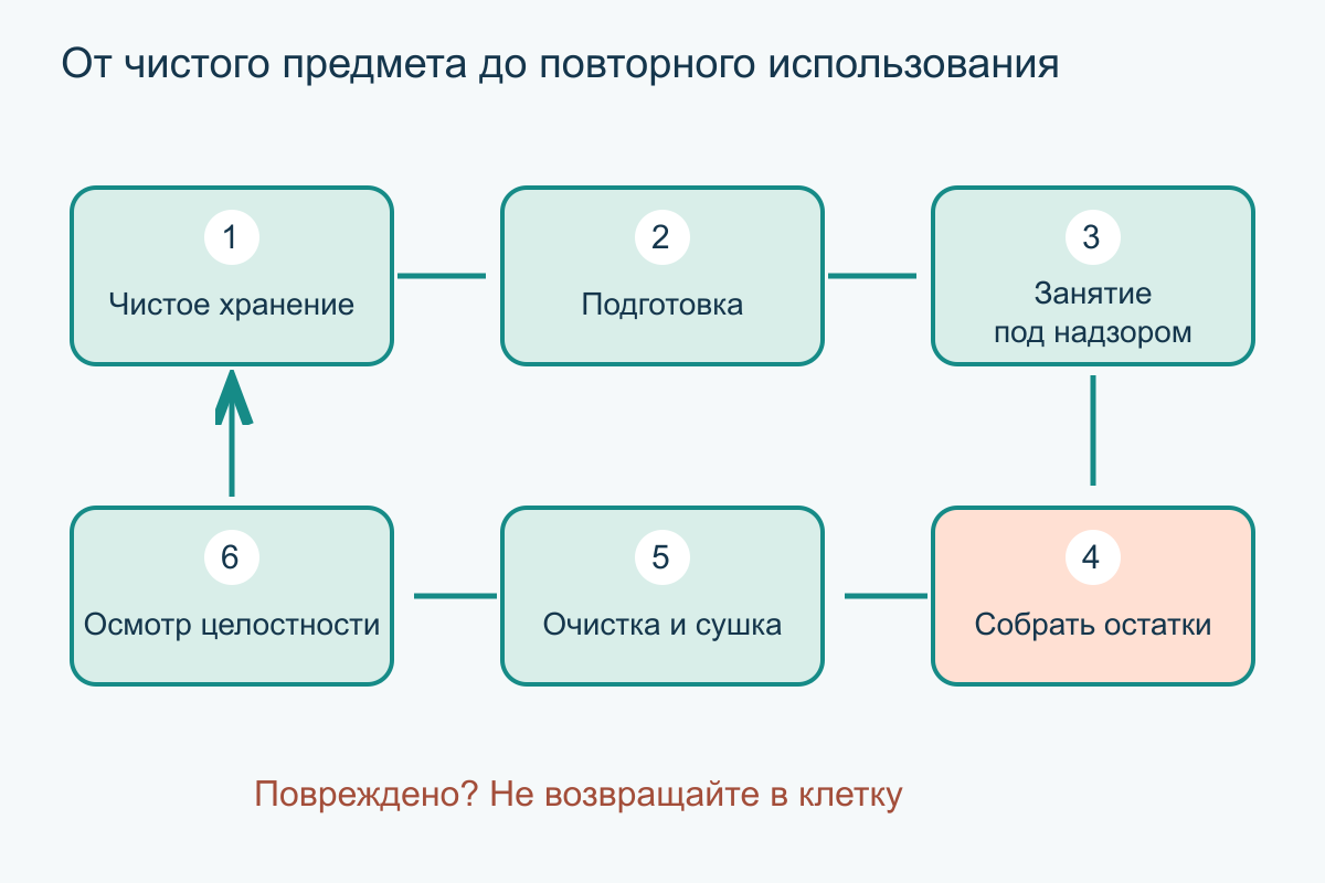 Полный цикл многоразовой кормушки Цикл подготовки и уборки: чистый предмет, корм, занятие, остатки, очистка и повторный осмотр