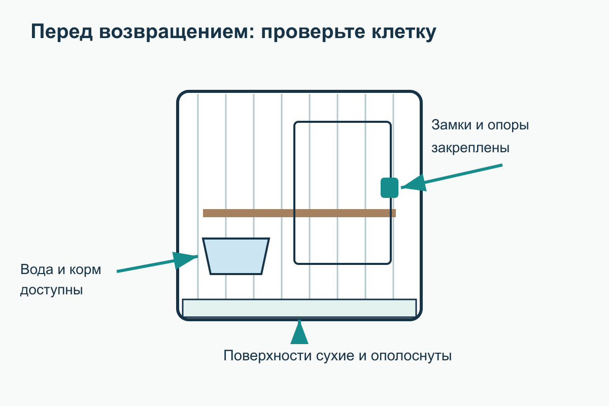 Готовность клетки проверяют по трём условиям: сухие поверхности, надёжные крепления, доступные вода и корм