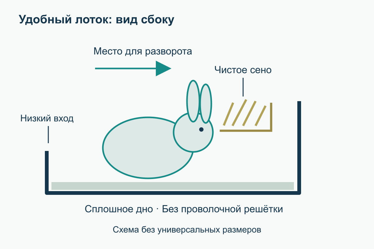 Удобный вход и чистое сено Боковая схема просторного лотка с низким входом, сплошным дном и чистым сеном у противоположного края