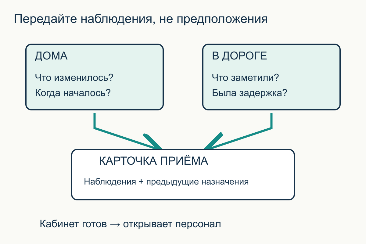 Домашние наблюдения и заметки о дороге сходятся в карточку приёма, после которой персонал открывает переноску