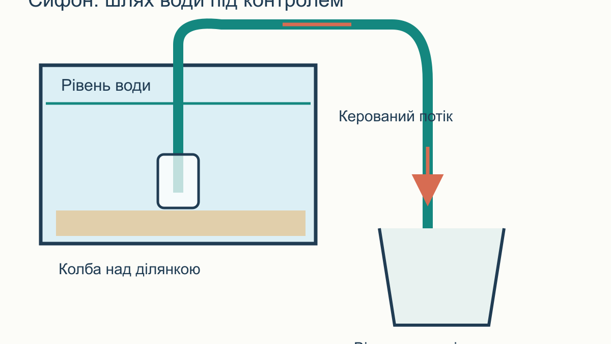 Як сифонити ґрунт в акваріумі: пісок, гравій і живі рослини