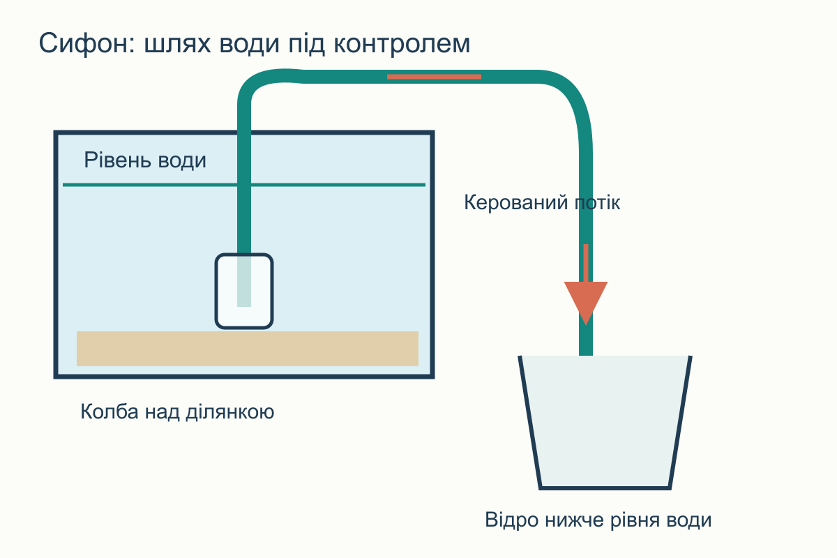 Схема сифона: колба в акваріумі, шланг через край і закріплений злив у відро нижче рівня води