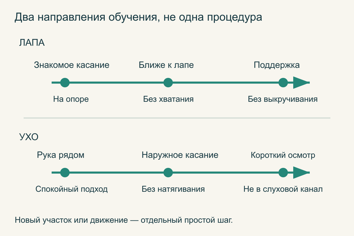 Две отдельные последовательности: касание конечности перед поддержкой лапы и касание возле головы перед наружным осмотром уха